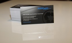 Pawart
