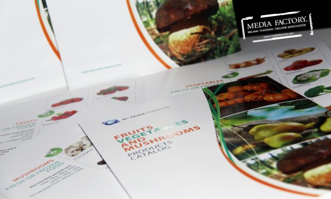 folder A3 A4 kreda 300 gram BC TRADE COMPANY 2