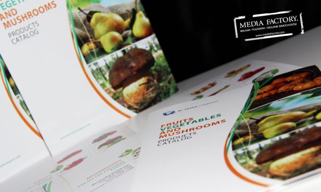 folder A3 A4 kreda 300 gram BC TRADE COMPANY 3