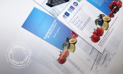 Pomocne wsparcie w handlu